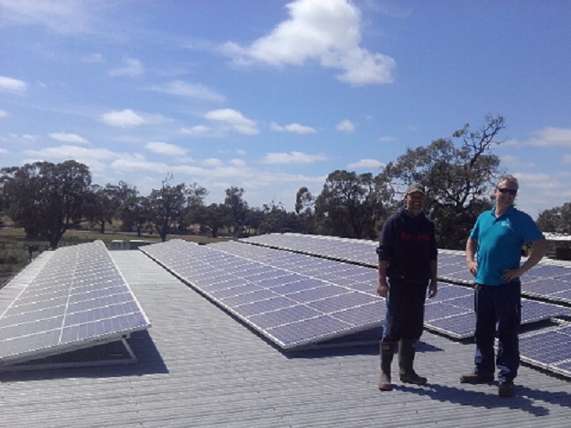 Solar Power for Dairy Farms